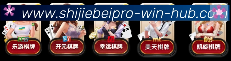 未来规划